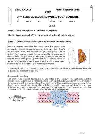Première page de SVT Tle A2 — 2e devoir surveillé, 1er semestre (2019-2020) · CEG1 Kalalé