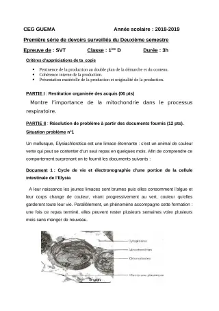 Première page de SVT 1ère D — 1er devoir surveillé, 2e semestre (2018-2019) · ceg guema