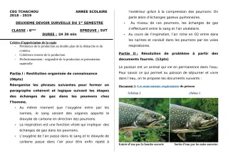Première page de SVT 6e — 2e devoir surveillé, 1er semestre (2018-2019) · CEG Tchatchou