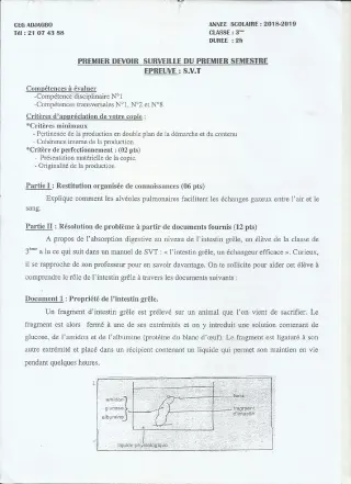 Première page de SVT 3e, 3e ML — 1er devoir surveillé, 1er semestre (2018-2019) · CEG ADJAGBO