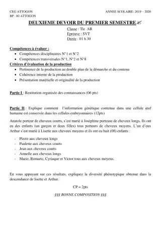 Première page de SVT Tle A & B, Tle A1, Tle A2, Tle B — Composition, 1er semestre (2019-2020) · CEG Attogon