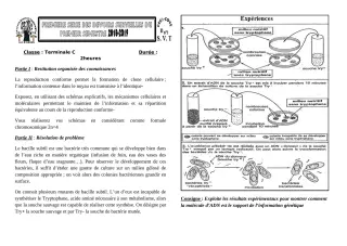 Première page de SVT Tle C — Composition (2018-2019) · CEG1 Covè