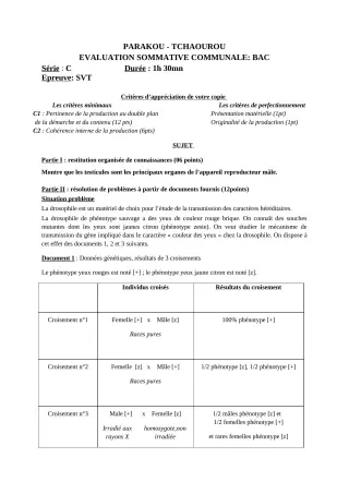 Première page de SVT Tle C — Évaluation sommative (2018-2019) · CEG Hubert C. MAGA