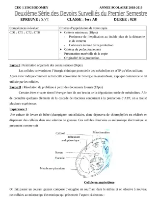 Première page de SVT 2nde A & B, 2nde D, 1ère A & B, 1ère C, 1ère D — 2e devoir surveillé, 1er semestre (2018-2019) · CEG 1 ZOGBODOMEY