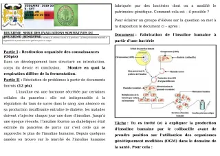 Première page de SVT 1ère A1, 1ère A2 — 2e évaluation sommative, 2e semestre (2019-2020) · CEG GBESSOU