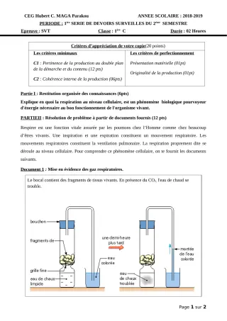 Première page de SVT 1ère C — 1er devoir surveillé, 2e semestre (2018-2019) · CEG Hubert C. MAGA