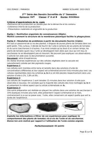 Première page de SVT 2nde A, 2nde B — 2e devoir surveillé, 1er semestre (2022-2023) · CEG ZONGO